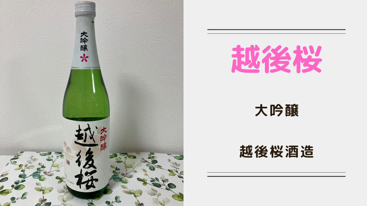 越後桜 大吟醸 Etigozakura｜Japanese Sake Blog